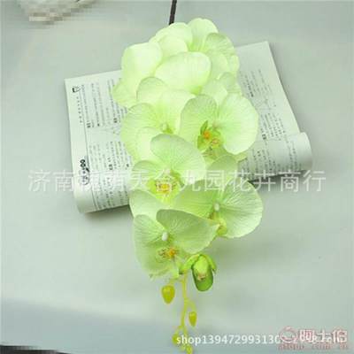 【蝴蝶兰真花装饰花假花绢花批发仿真植物特价热销】济南槐荫天合九园花卉商行 - 产品库