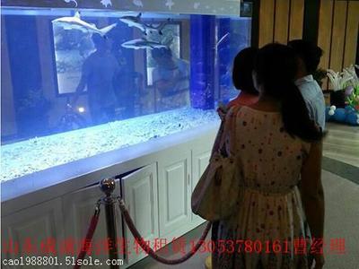 济南海洋生物展租赁价格|海洋生物展租赁费用